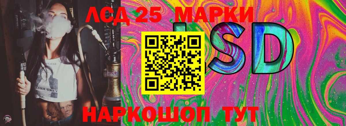 Галлюциногенные грибы Москва