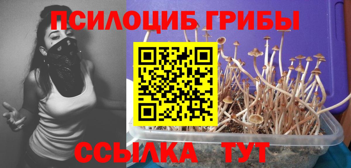 Псилоцибиновые грибы Magic Shrooms  Вход с VPN  Москва 