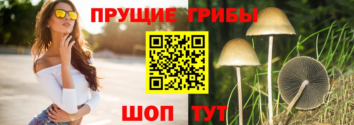 Галлюциногенные грибы мицелий  Москва 